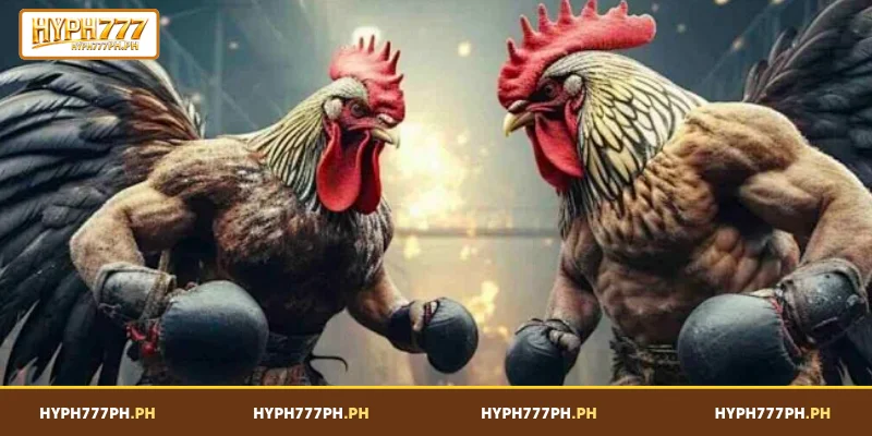 Discovering the Global Attraction of Sabong Online